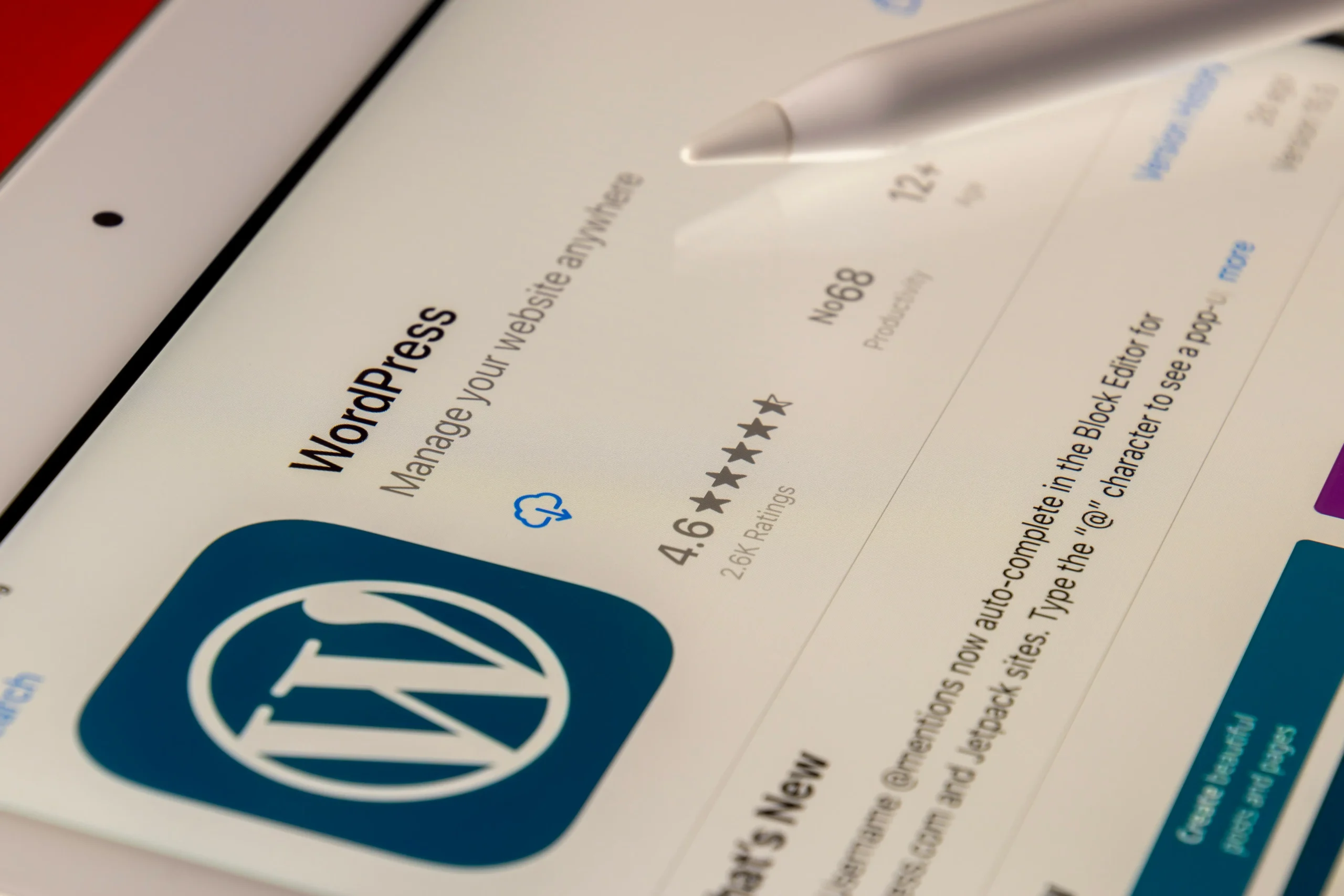 WordPress Customization